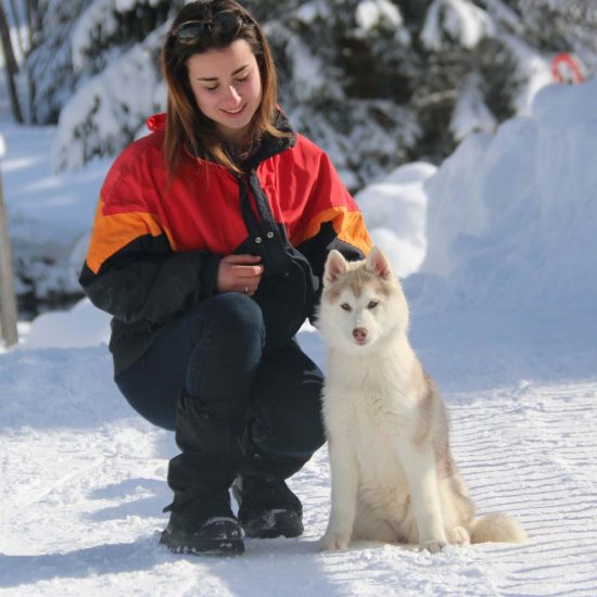 elevage-husky-chien-nordique-chiots-attelage-lunel-femelle-FYDGIE-07