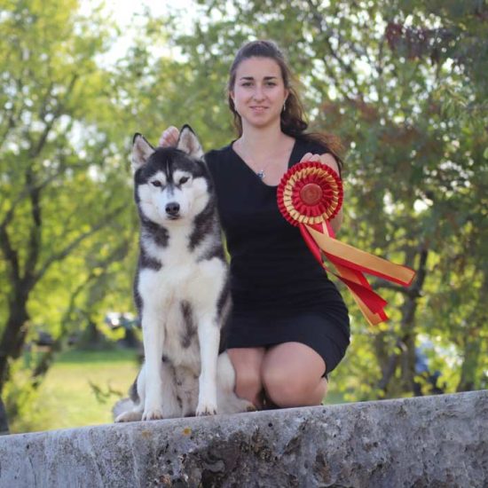 elevage-husky-chien-nordique-chiots-attelage-lunel-femelle-LARA-06