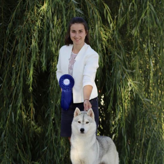 elevage-husky-chien-nordique-chiots-attelage-lunel-femelle-ONLY-05