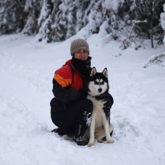 elevage-husky-chien-nordique-chiots-attelage-lunel-femelle-TESS-06