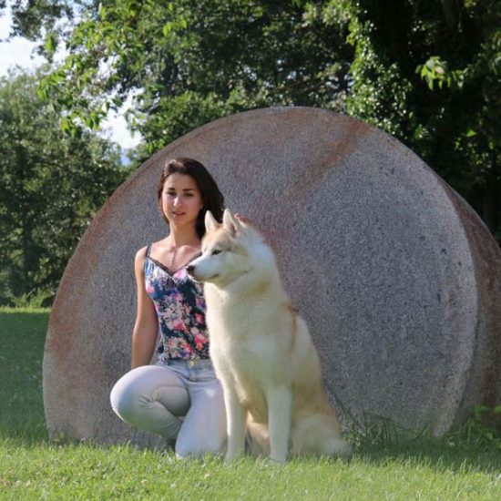 elevage-husky-chien-nordique-chiots-attelage-lunel-male-JUST-03