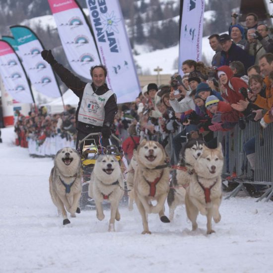elevage-husky-chien-nordique-chiots-attelage-lunel-male-ONE-SEA-05