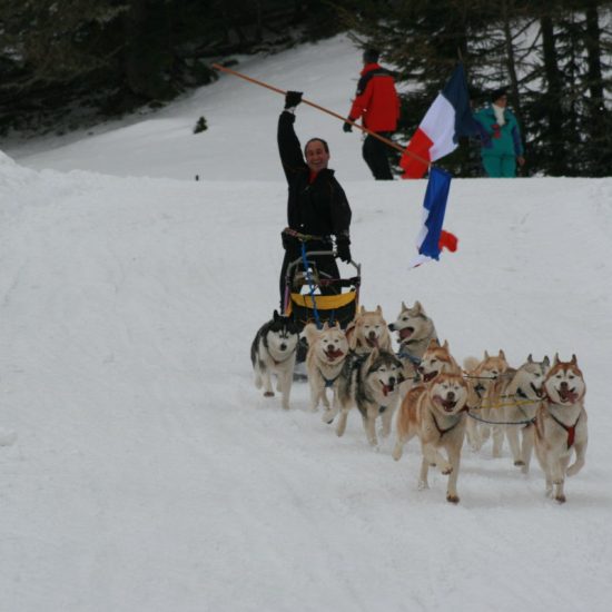elevage-husky-chien-nordique-chiots-attelage-lunel-male-ONE-SEA-07