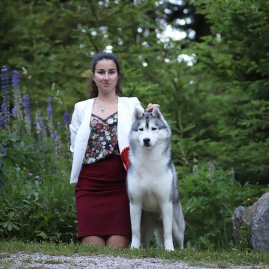 elevage-husky-chien-nordique-chiots-attelage-lunel-male-ryan-010